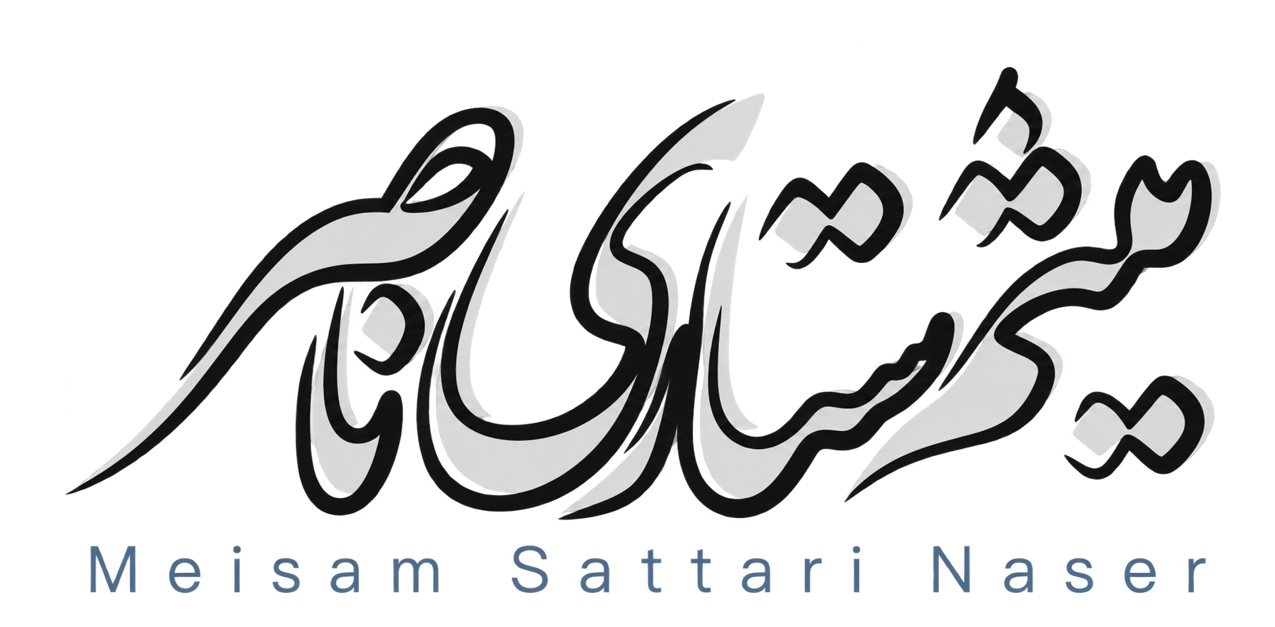 میثم ستاری ناصر